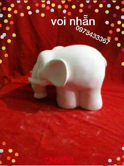 voi nhẵn
