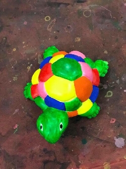 rùa đá